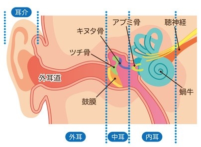 中耳炎の原因